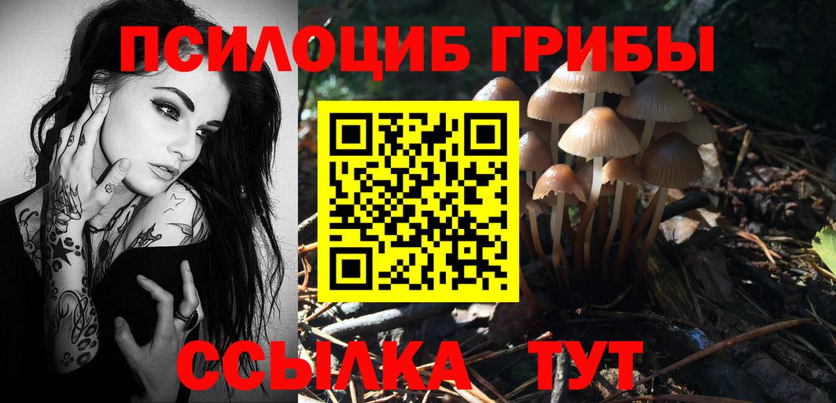 Галлюциногенные грибы прущие грибы  где продают   Котельники  Вход с VPN  Псилоцибиновые грибы MAGIC MUSHROOMS 